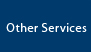 Other Services: Accounting, Leagl, finance, exit strategy, etc